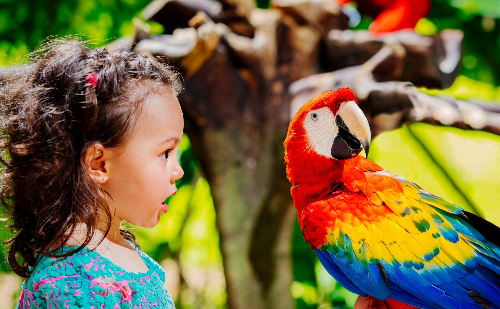 Xcaret Park Full Day Experience