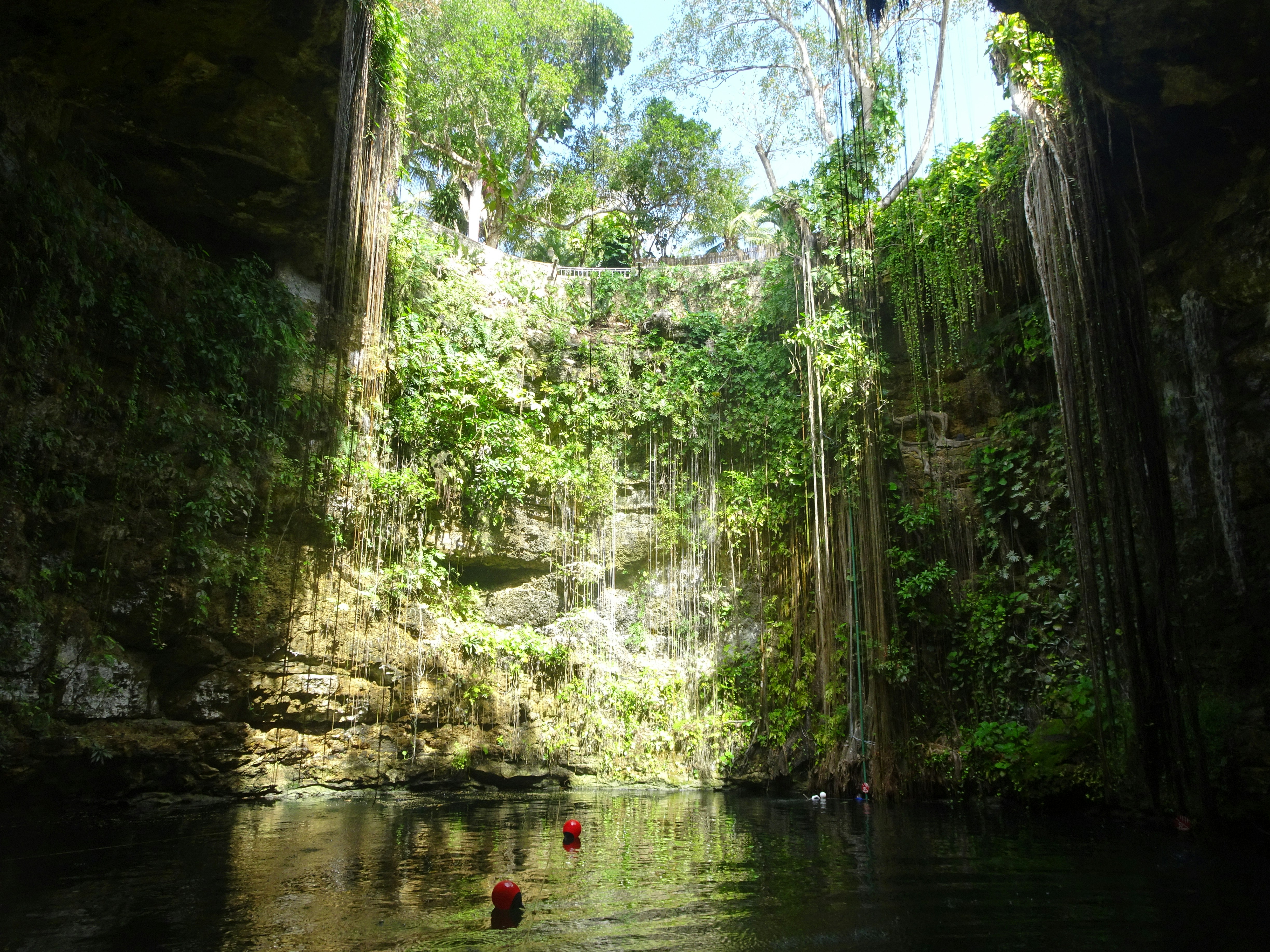 Los Mejores Cenotes en Quintana Roo: Una Guía Completa para Viajeros