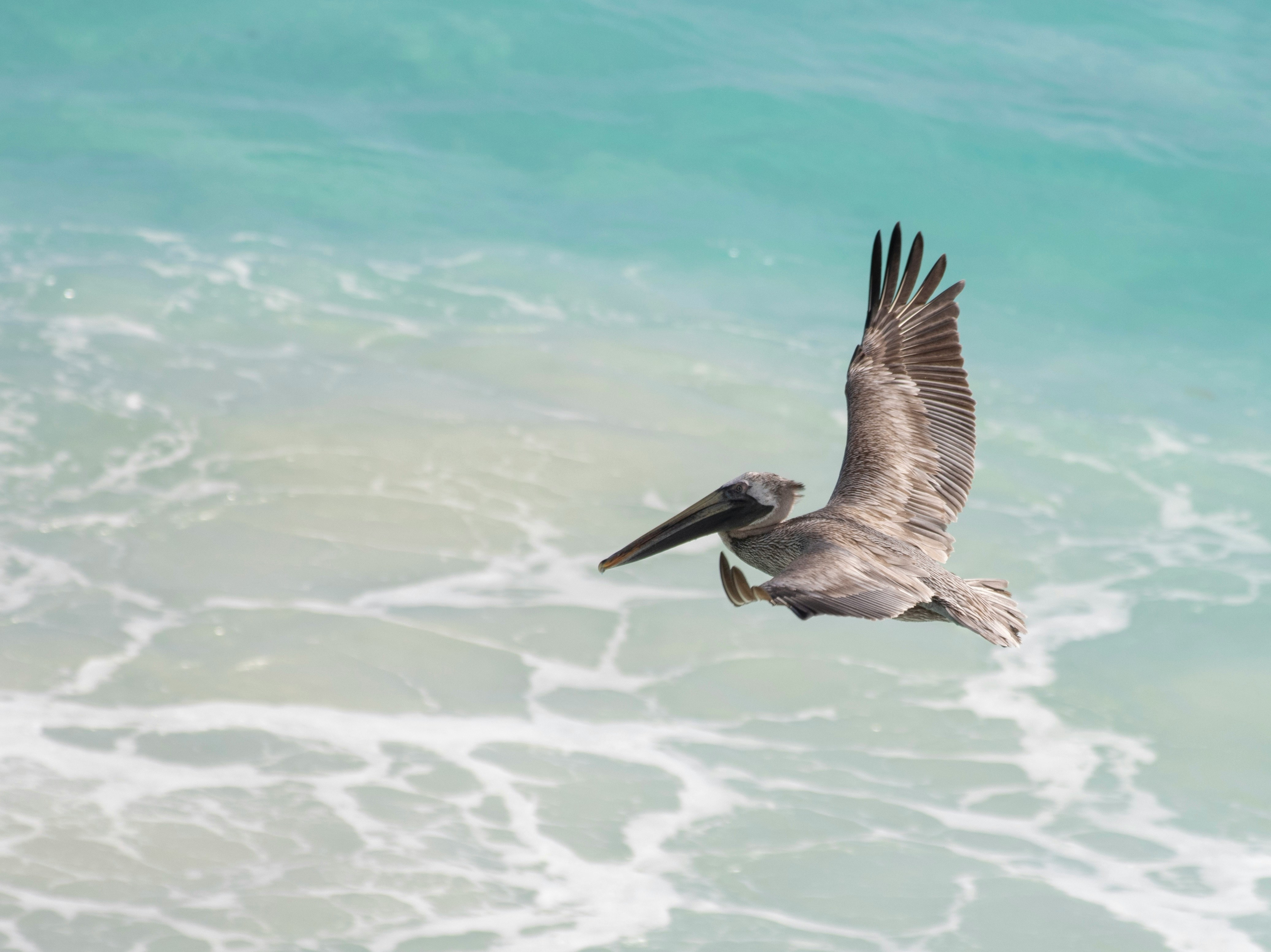 Quintana Roo Activities Guide for Mexican Travelers: Weekend Getaways