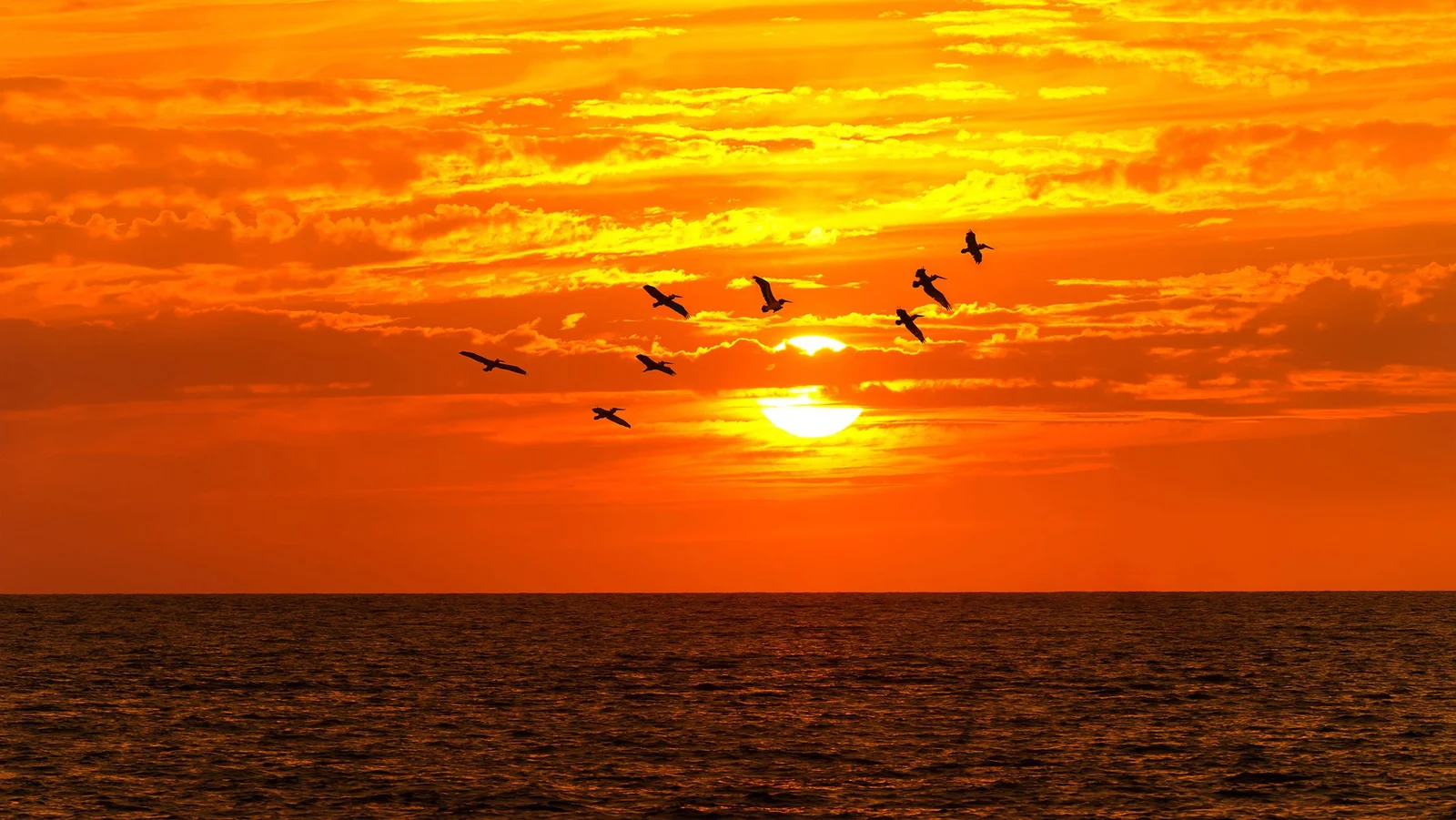 Velero al Atardecer en la Riviera Maya