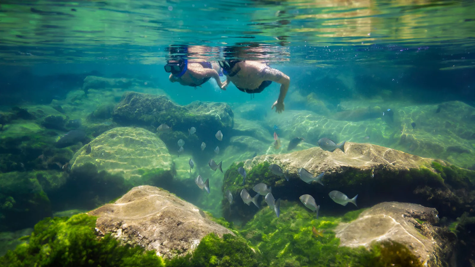 Tulum Ruins & Yal-Kú Lagoon Plus