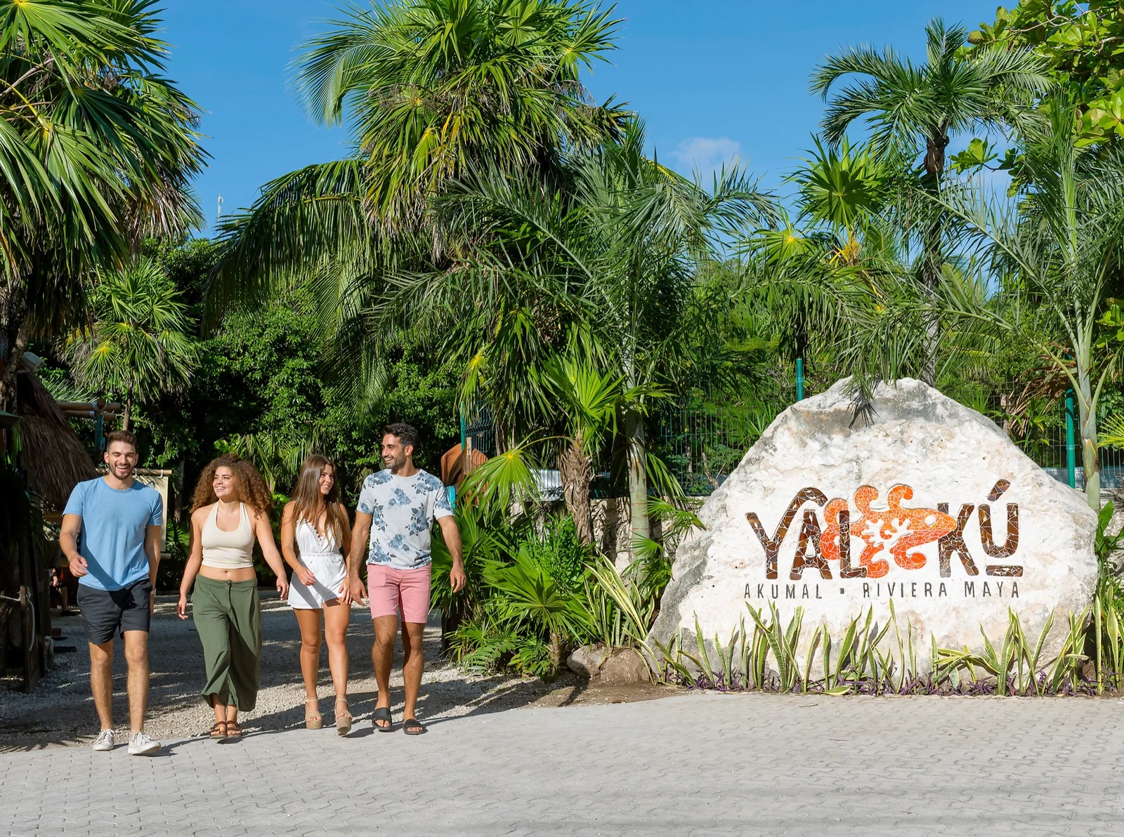 Yal-Kú Lagoon Plus — Admission, Gear & Lunch