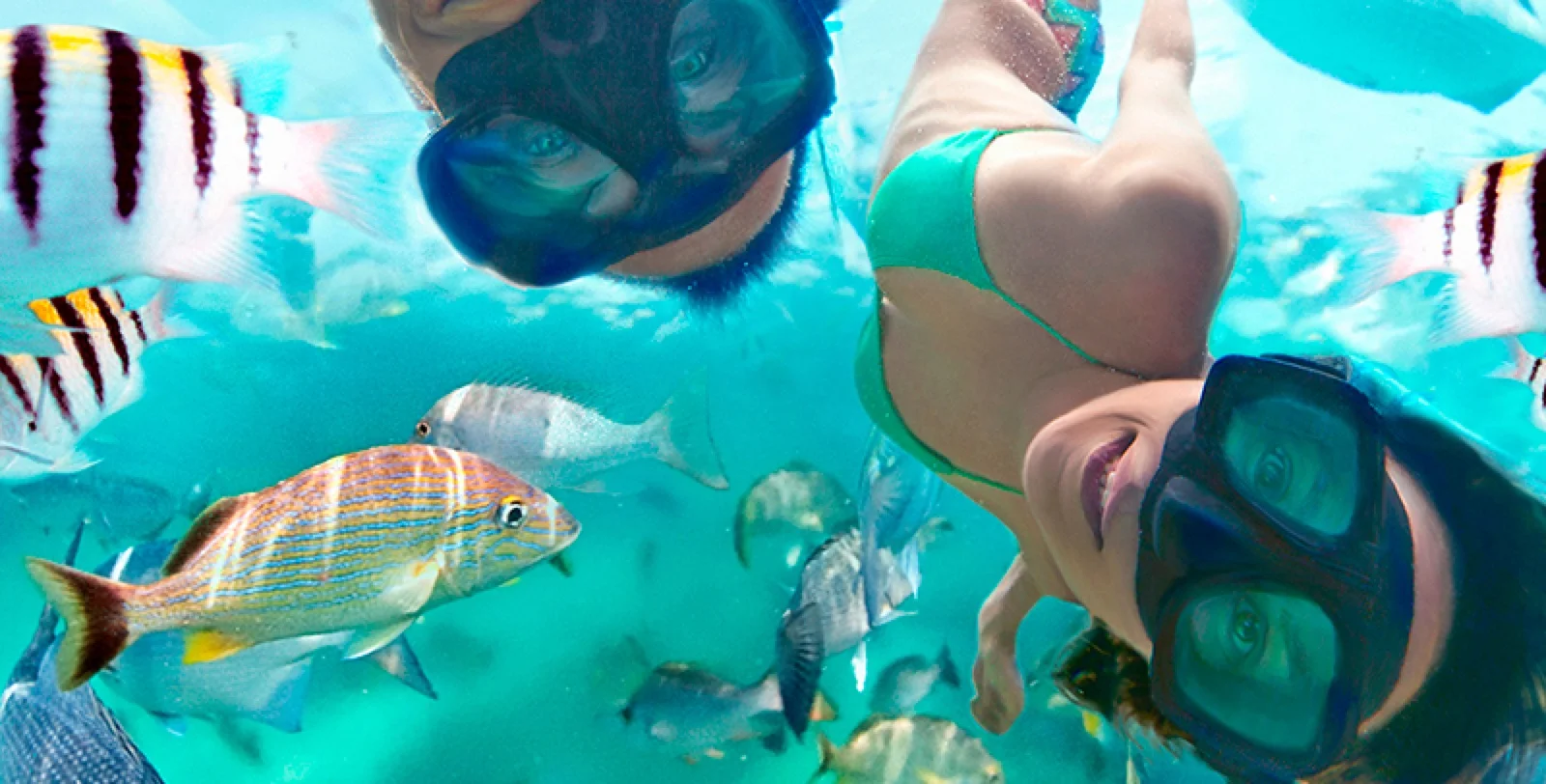 Xel-Ha Afternoon Admission 1:00 p.m.