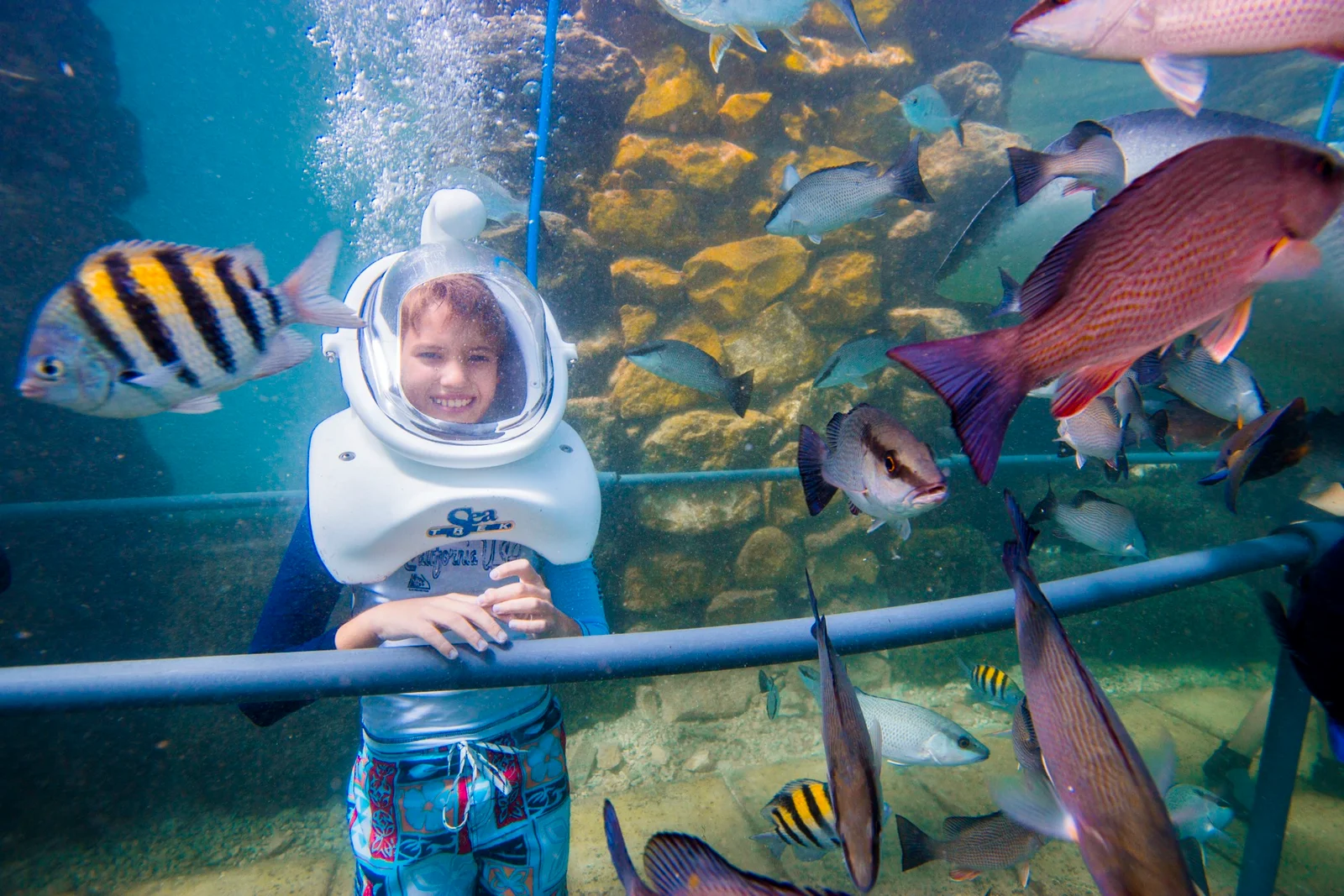 Xel-Há Sea Trek Admission