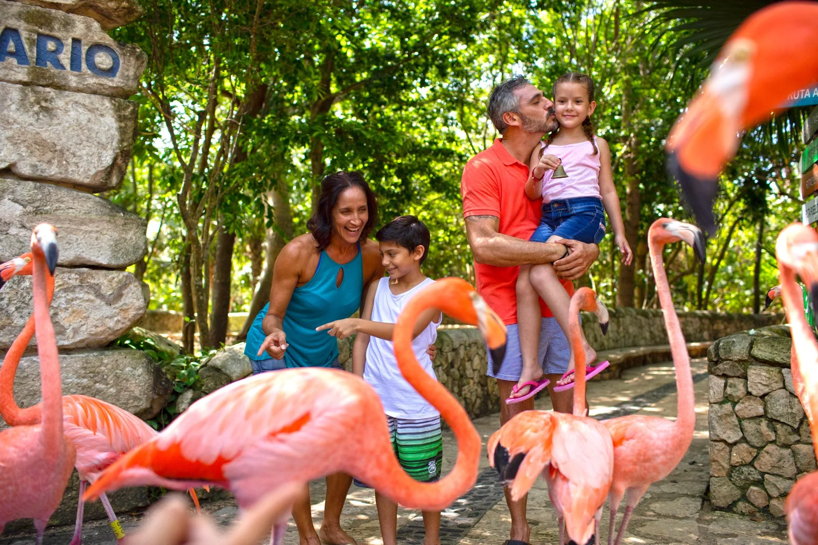 Tour Xcaret Plus (transportacion incluida)